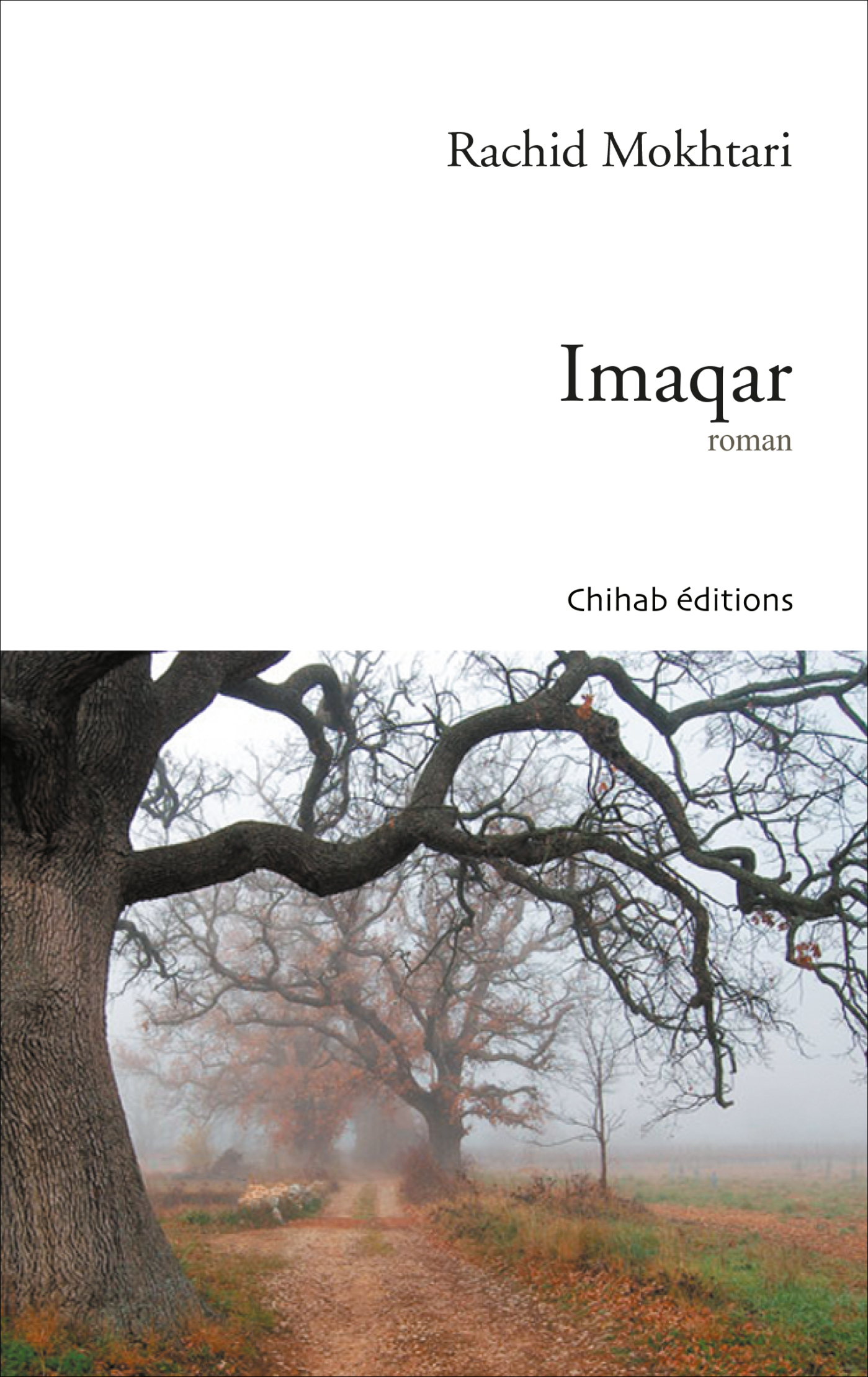cover djezzy